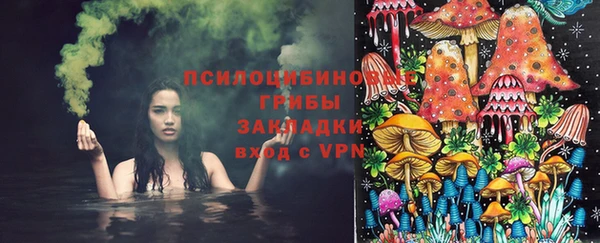 соль ск Кинешма