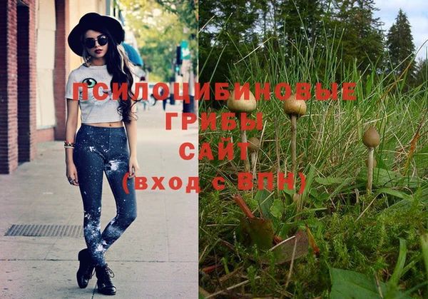 спайс Киреевск
